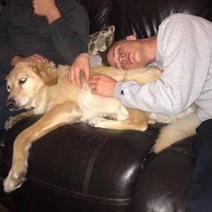 Meet your Posher, Luke